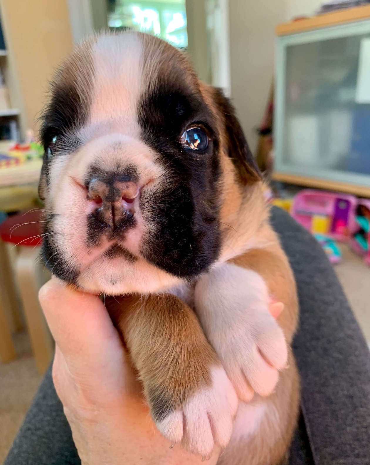 Bahia von der via caprea