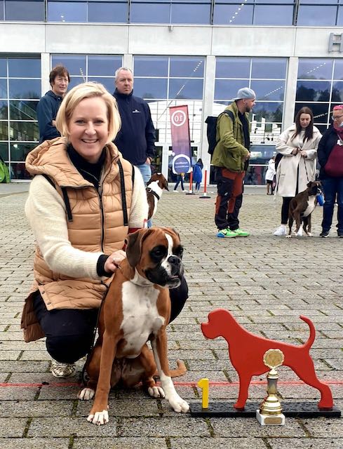 Platz 1 für Bahia Deutscher Boxer aus Sachsen