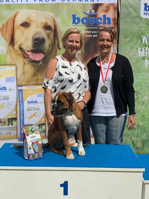 Siegerin Bahia von der via Caprea Deutsche Boxerwelpen aus Sachsen