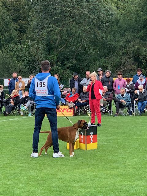 Ausstellung Leipzig Jahressieger Bahia von der via Caprea