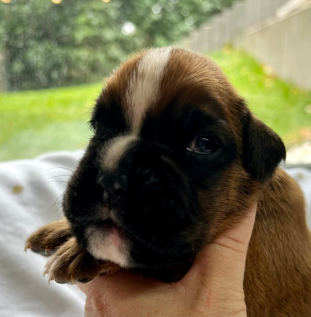 Cappuccino von der via Caprea